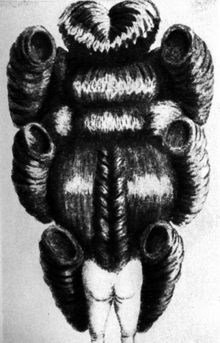 318. Французская карикатура на огромные прически, около 1775 г. 