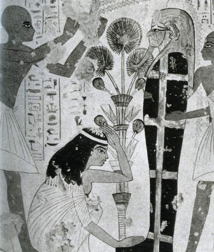 556. Заключительный похоронный обряд перед входом в гробницу. Гробница Нехамуна и Ипуки XVIII династии, Фивы. Парики были модны и в Древнем Египте. У женщины (внизу, в середине) на голове парик из темных распущенных волос, которые на лбу скреплены лентой. 